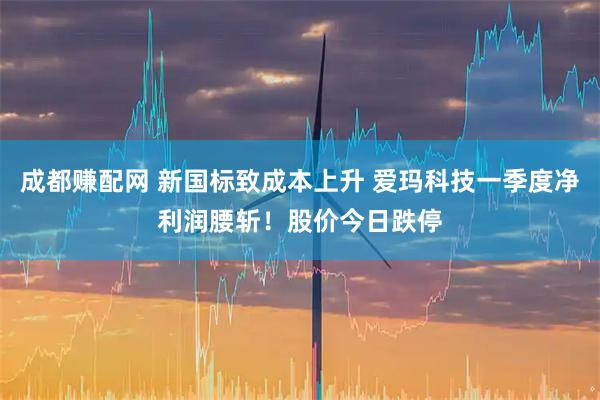 成都赚配网 新国标致成本上升 爱玛科技一季度净利润腰斩！股价今日跌停