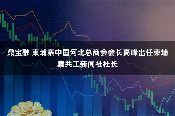 鼎宝融 柬埔寨中国河北总商会会长高峰出任柬埔寨共工新闻社社长