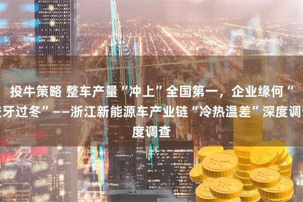投牛策略 整车产量“冲上”全国第一，企业缘何“咬牙过冬”——浙江新能源车产业链“冷热温差”深度调查